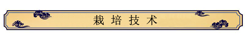 中药材种植技术——郁李仁